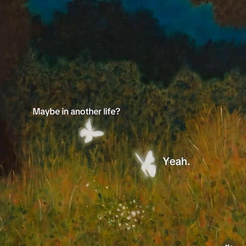 System Glitch