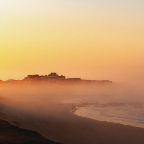 Carmel Daydream