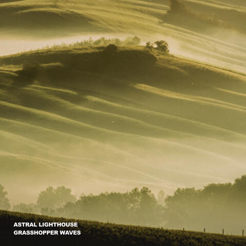 Grasshopper Waves