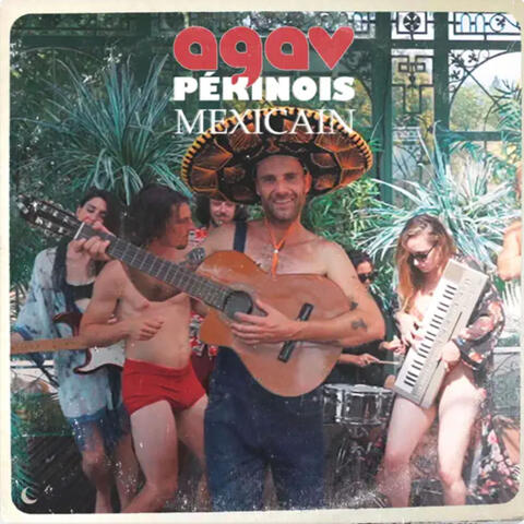 Pékinois Mexicain