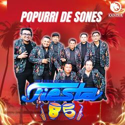 Popurrí Sones: Cuando Los Frijoles Bailan / El Son de los Enanos / Flor de Piña