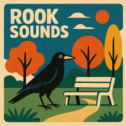 Rook Call Sound Pt.3