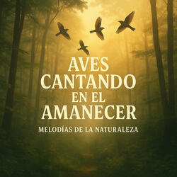 Aves Cantando en el Amanecer, Despertar del Bosque