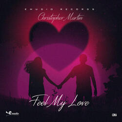 Feel My Love