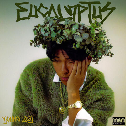 Eucalyptus