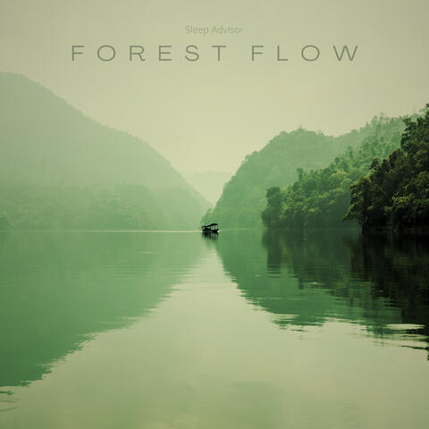 Forest Flow
