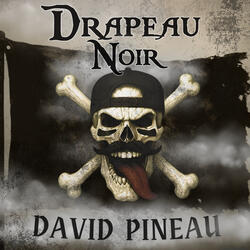 DRAPEAU NOIR