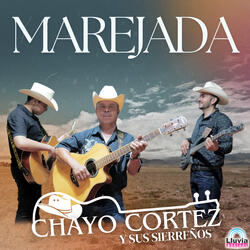 Marejada