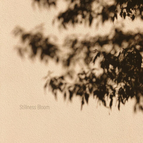 Stillness Bloom