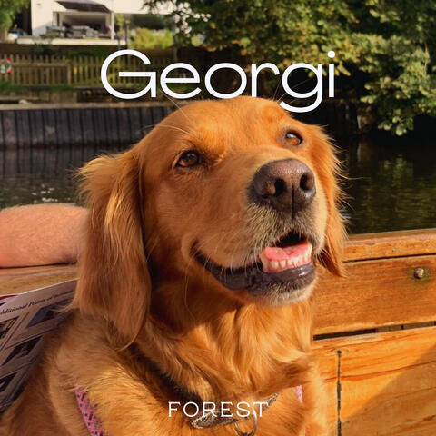 Georgi