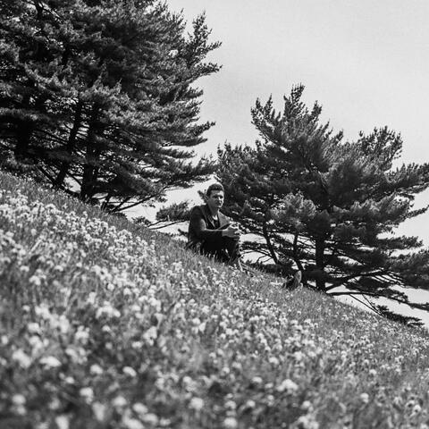 Evergreen - Acoustic Pt. 1