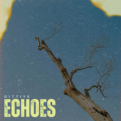Echoes