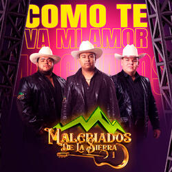 Cómo Te Va Mi Amor