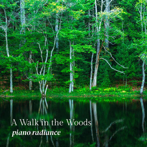 A Walk in the Woods