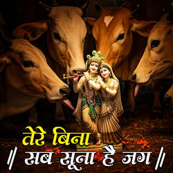 Tere Bina Sab Soona Hai Jag