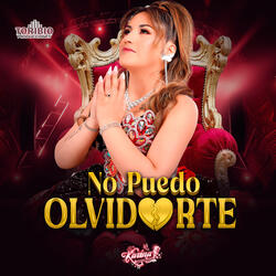 No Puedo Olvidarte