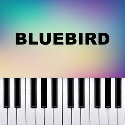 Bluebird