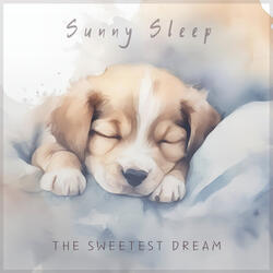 The Sweetest Dream