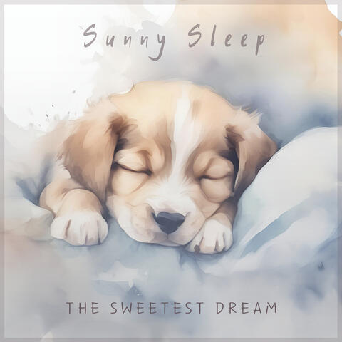 The Sweetest Dream