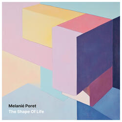 The Shape Of Life