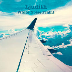 White Noise Flight