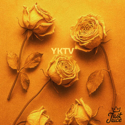 You Know The Vibes