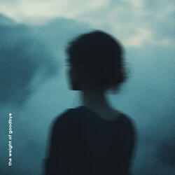 the weight of goodbye