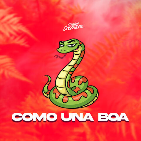Como Una Boa