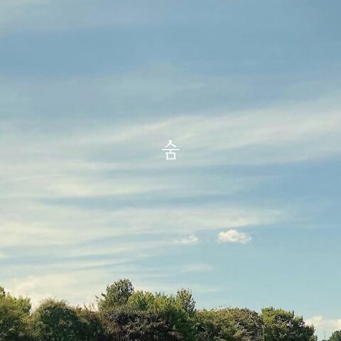 숨 Breath (feat. 최해리 Choi Hae Ri)