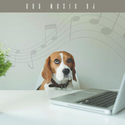Puppy Dream Music