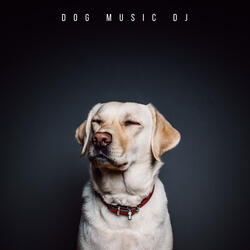 Gentle Dog Music