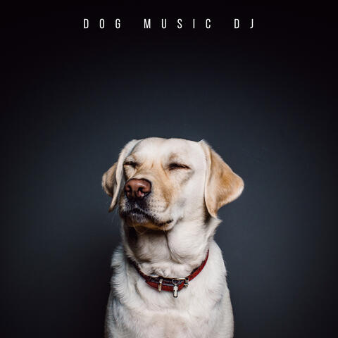 Tunes For Dogs