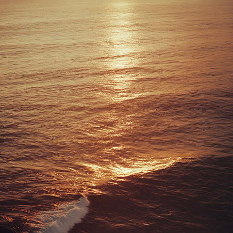 Tide