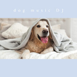 Relaxing Music For Dogs