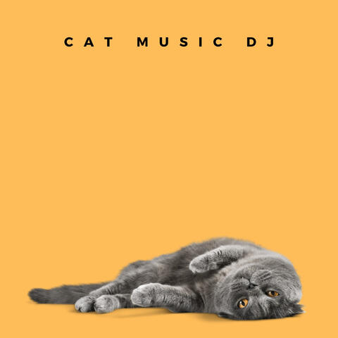 Cat Care Music