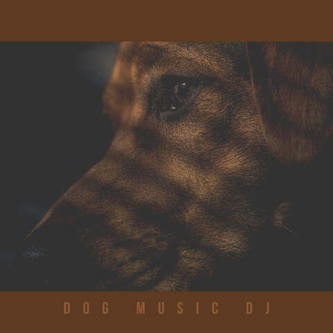 Music For Lonely Dogs