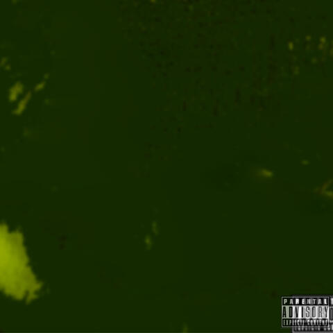 Trap Is Back