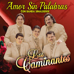 Amor Sin Palabras
