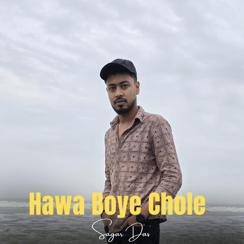 Hawa Boye Chole