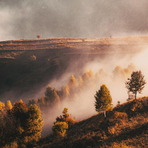 Toasty Brown Noise
