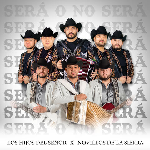 Sera O No Sera
