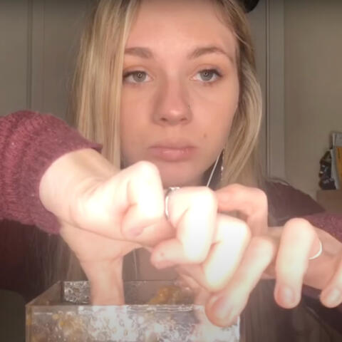 ASMR - Eating Pure Honeycomb