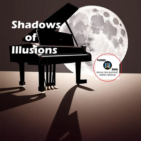 Shadows of Illusions