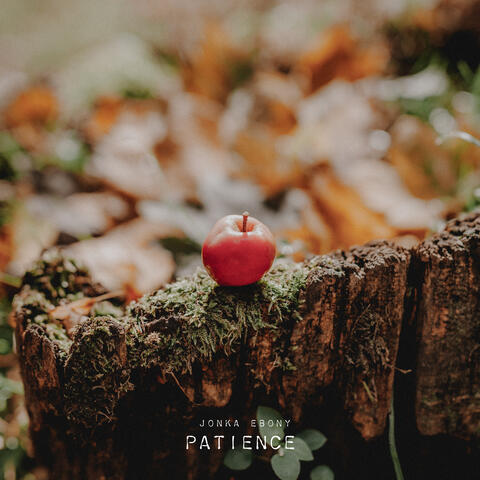 Patience
