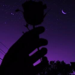 Depression Always Win