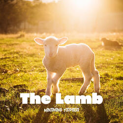 The Lamb
