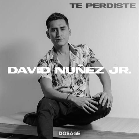 Te Perdiste