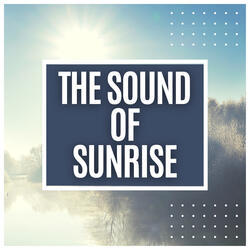 The Sun is Here, Pt 12