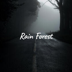 Rain Forest