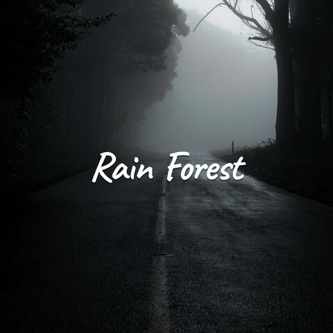 Rain Forest